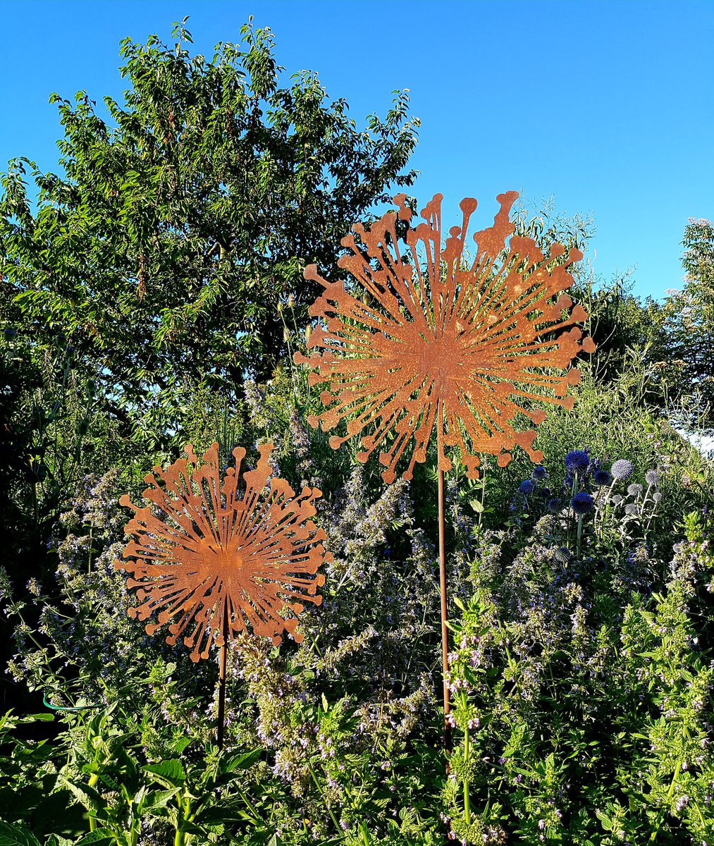 Roststecker Hashtag On Twitter