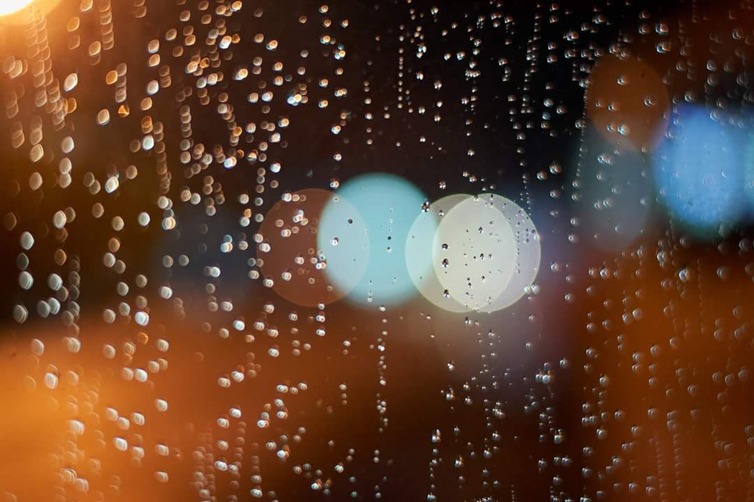 사람은
자기다울때
존엄하게 빛난다.
자기가 아닌
다른 누군가,
혹은
다른 무엇인가를
흉내 내고 비슷해지려고
시도하는 순간
타고난 광채를 상실한다.
「약간의
거리를 둔다」중에서