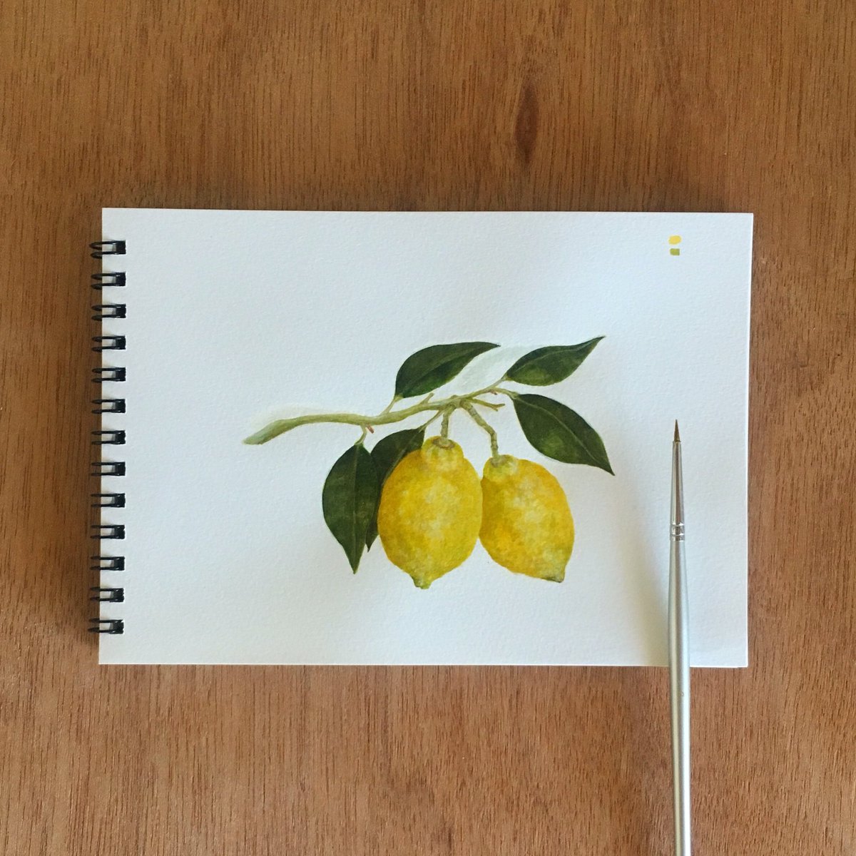 تويتر Marimachoと日和 على تويتر 最後のレモン描き終えました 絵 手描き イラスト お絵かき 絵描きさんと繋がりたい アクリル絵の具 フルーツ レモン Illustration Art Drawing Acrylicpainting Painting Lemon Fruit T Co Rvuxbofb19