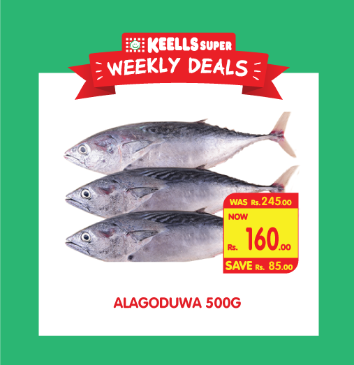 Keells_SL's tweet photo. Get unbeatable weekly deals at Keells! Maximum of 5kg/5 items per day.
*Conditions Apply
#keellssuper https://t.co/LNjpGHZajM