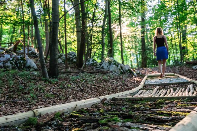 AdvParkGeoss's tweet photo. V sredo, ob 10h, novinarjem predstavljamo NOVOST - Gozdno čutno ravajanje. #gozdnočutnorazvajanje. https://t.co/ieeR3k7P11 https://t.co/9nENP8L1wi