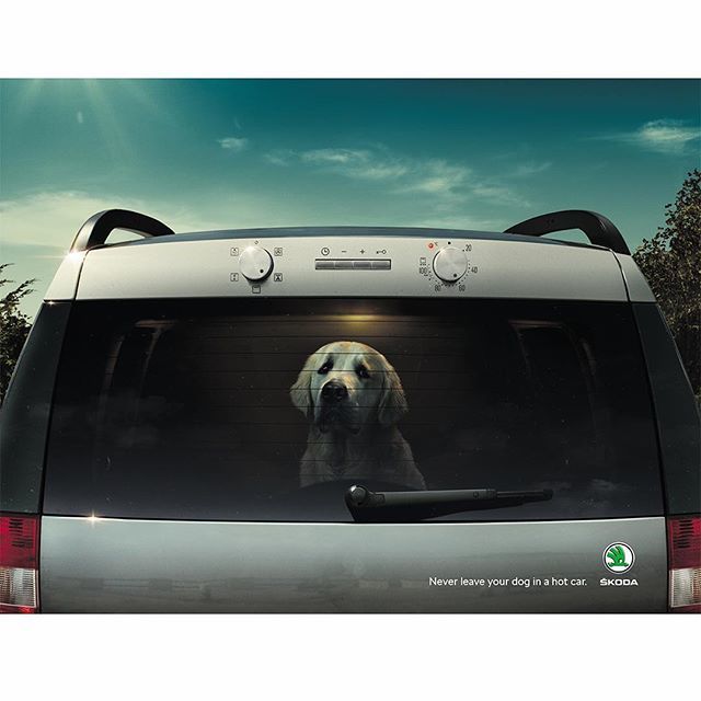 Woohoo gonna reach 30 degrees in London today but dont forget those doggies !

With the heatwave we are having at the moment it is more important than ever not to leave dogs in hot cars. I enjoyed working on this campaign for <a href="/boysandgirlsltd/">Boys + Girls</a> and <a href="/skodai/">susumu kodai</a>… ift.tt/2tKs2VW
