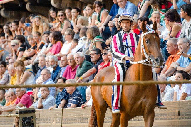 #oggi 
#2luglio  #Siena 
#PaliodiSiena #contrade 
#corsacavalli  #Provaccia 
#corteostorico #sfilata #stasera 
#plurihashtag #scritturebrevi @FChiusaroli