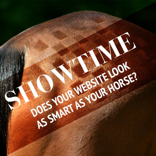 Equestrian_ID's tweet image. It&apos;s Monday again &amp;amp; back down to business! :) Do you have a website for your equestrian business that needs a makeover / isn&apos;t performing as well as you&apos;d like? Get in touch &amp;amp; we will take a look &amp;amp; see what we can do to make your web presence better! 

#equinehour #horsehour