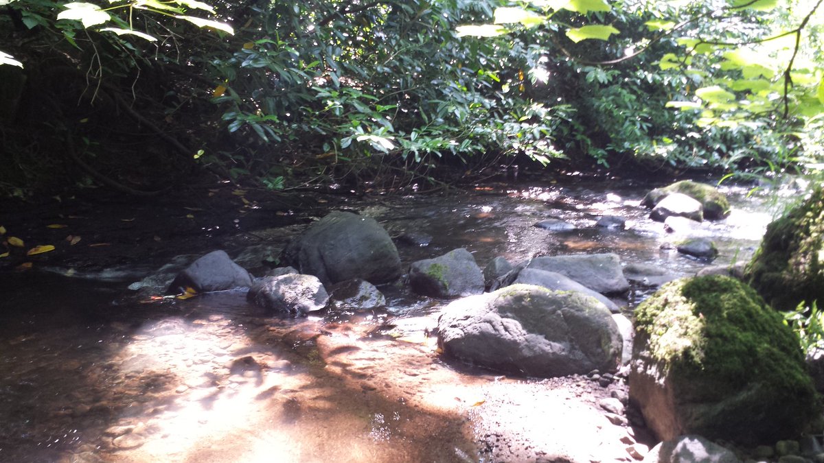 MillsofNI's tweet image. An old basic weir at Lissan House co. Tyrone. Easy to spot in the dry weather. Ducarts bridge was also accessible.