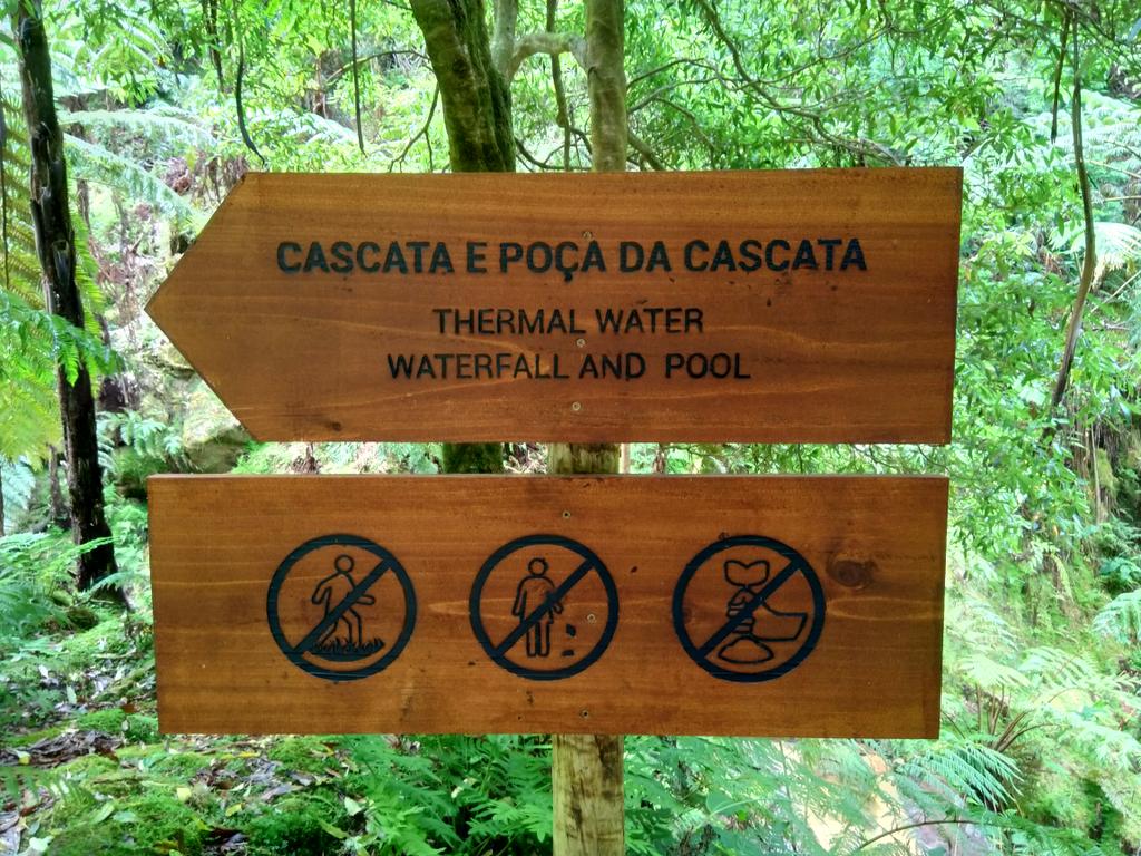 IC_Geophysoc's tweet image. A nice start to our 2018 summer tour! @union_rsm #gpsazores18