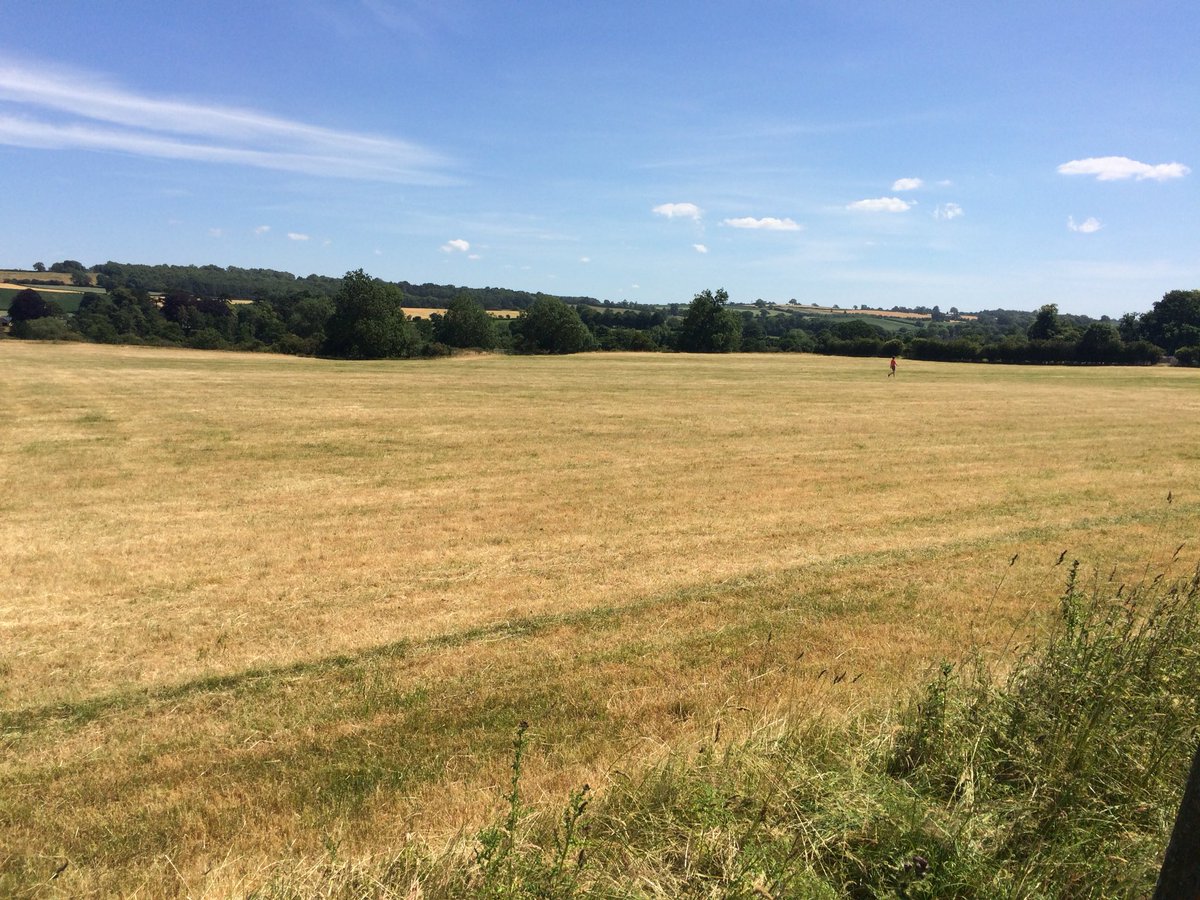 MashamSteam's tweet photo. Hay made and fields ready to become a Steam Rally venue. Less than three weeks now! 🚂🚜👌 https://t.co/9ZFqCKwM8W