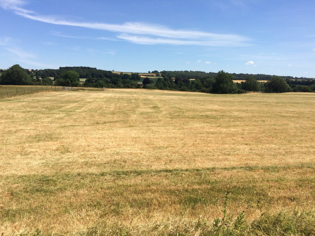 MashamSteam's tweet photo. Hay made and fields ready to become a Steam Rally venue. Less than three weeks now! 🚂🚜👌 https://t.co/9ZFqCKwM8W