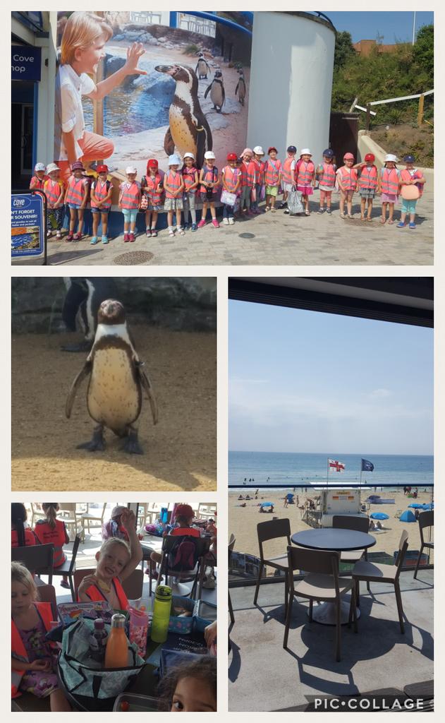 THSch_PrePrep's tweet photo. A beautiful day for our Reception class trip to Bournemouth Oceanarium! #thprep #theyfs https://t.co/L0muzIbkuj