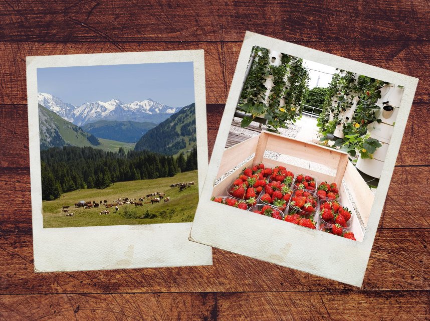 [Top Juin] Les deux photos que vous avez aimé sur Instagram ce mois-ci! 📷  On vous partage des photos en direct du terroir ! Alors rejoignez nous ➡️ instagram.com/monbeauterroir/