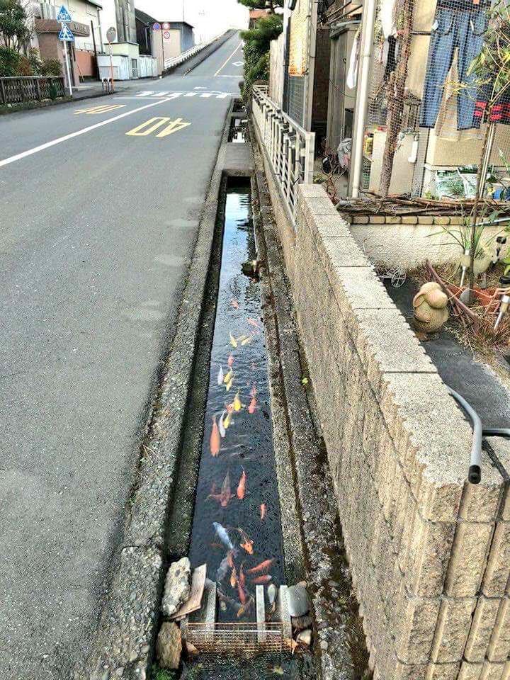 Balamurugan (drbala21) Twitter