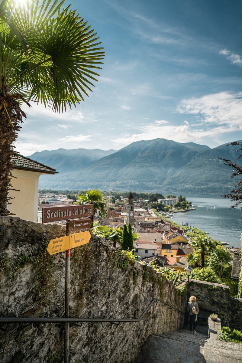 Switzerland tweet media