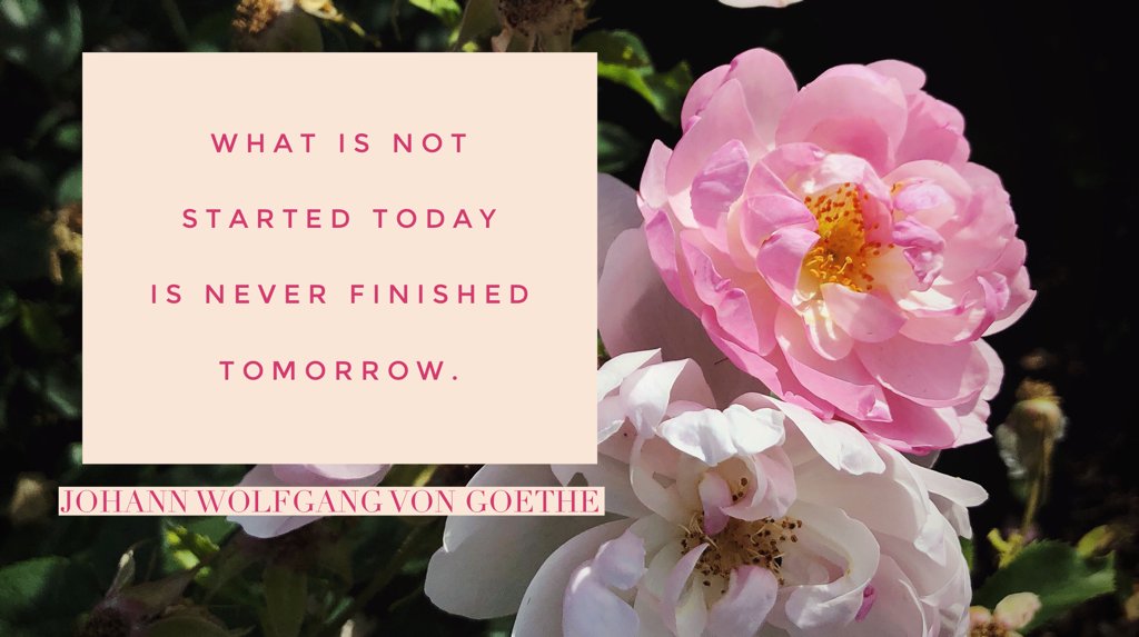 Makelight's tweet image. Monday Motivation. Make today you start whatever it is you have been putting off for too long. Take a step today and start! xo