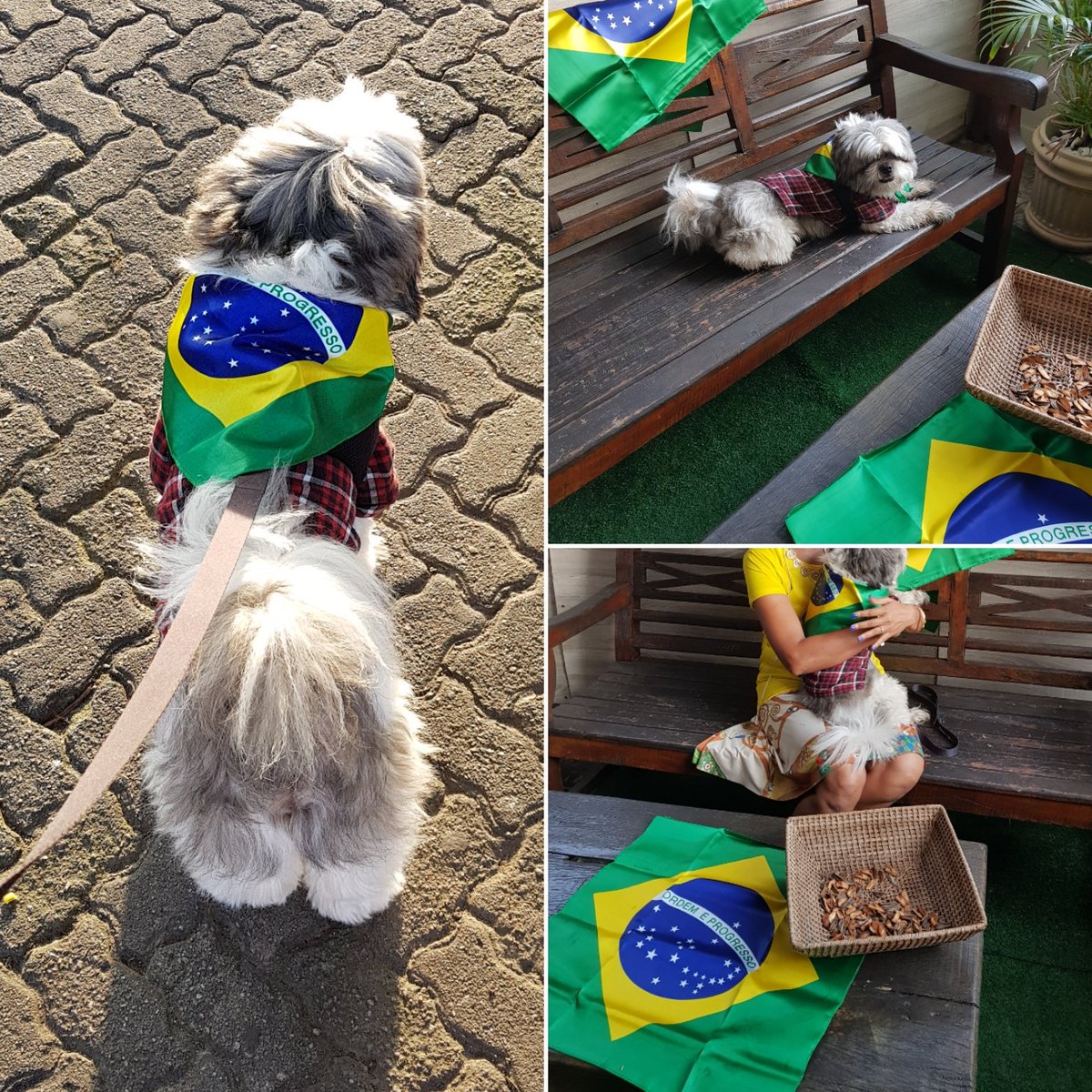 Mottainailife's tweet photo. Cheering Brasil. #vamosbrasil #vaibrasil #copadomundo #comeonbrazil #mundial2018 #worldcup2018 #indobrazilbond #amizadeindobrazil #ilovebrazil #myteambrazil #akichaninrio #fanseyeview #brazilfan #riofans #fifabrazil #nofilter #JogaOqueSabe #JogueJunto #seleção #neymarmyhero https://t.co/b1OJYYqk7v