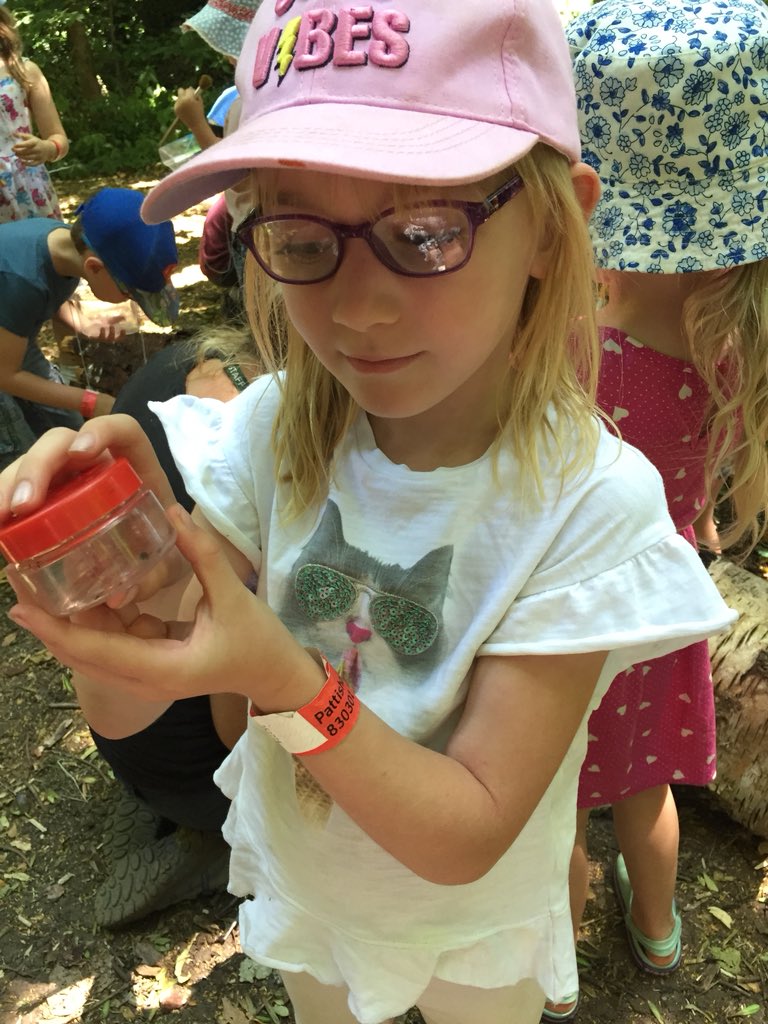 Reception_PPS's tweet photo. We’re going on a bug hunt! 🐜🕷🐌 https://t.co/HzX47gGAuu