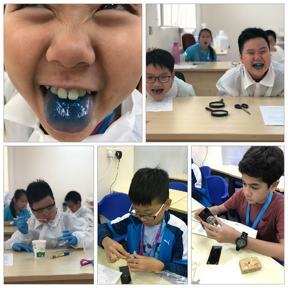 exscitec's tweet photo. STEM World ASEAN is off to a flying start! Chemistry students have been investigating flavours and Robotics students are getting some hands-on mechanics experience @UoNMalaysia #STEM https://t.co/qpLyBzQCfG