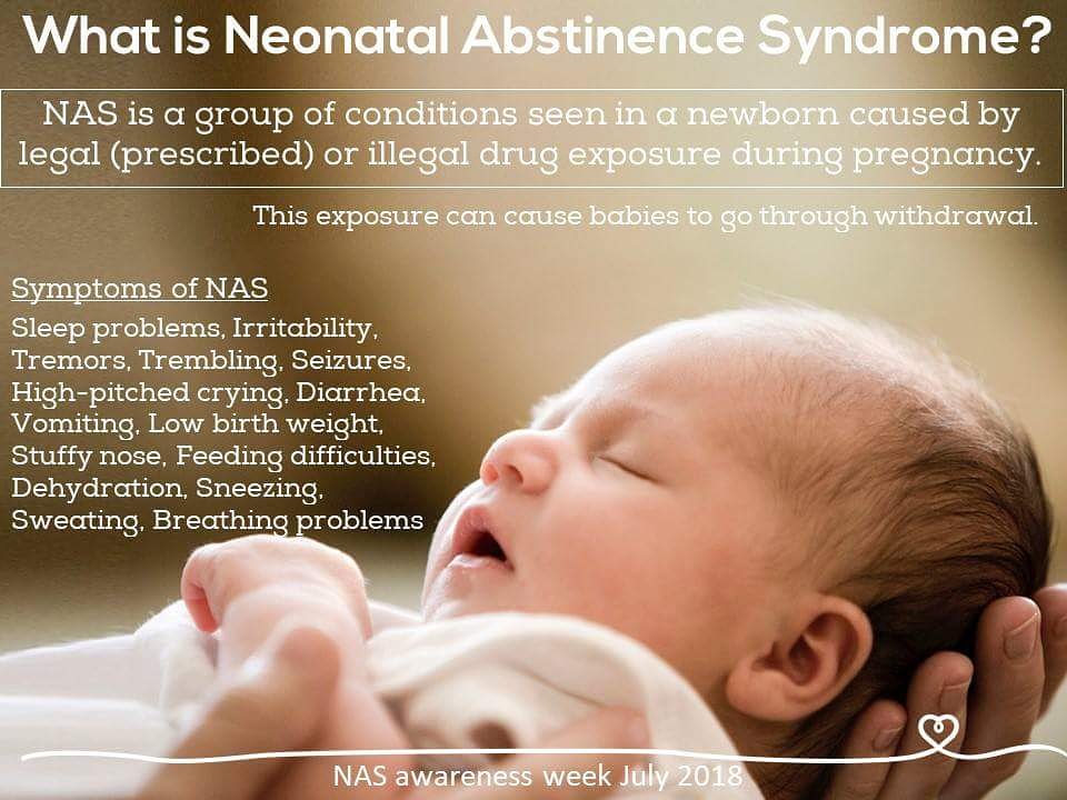 BrigidsPath's tweet photo. #NASawareness #BrigidsPath #NewbornRecoveryCenter https://t.co/jyHFnweQnr