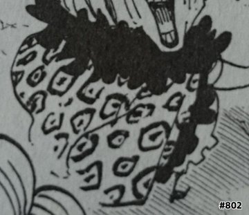ワンピース ウィーブルはイケメンでかっこいい 正体や今後を考察 大人のためのエンターテイメントメディアbibi ビビ