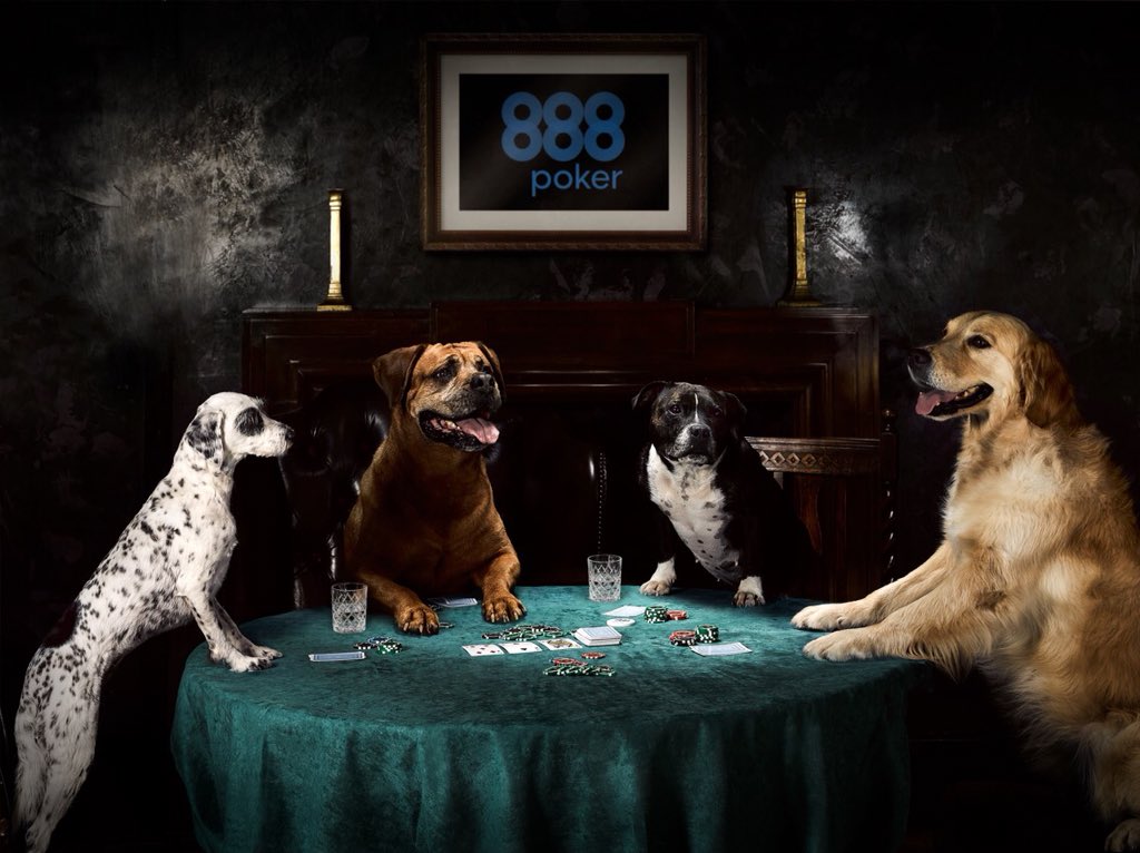 YummyHound's tweet photo. Well done to our amazing #DogModels! They did a great #PetModelling job for @888poker & @888casino β₯οΈβ£οΈβ¦οΈβ οΈ
Theyβve recreated a famous picture βDogs Playing Pokerβ ππ
Fantastic jobs guys! π #AnimalCastingAgency #DogModel #Marketing #Advertising #UrbanPawsUK #PetModel https://t.co/1kDcio8kCL
