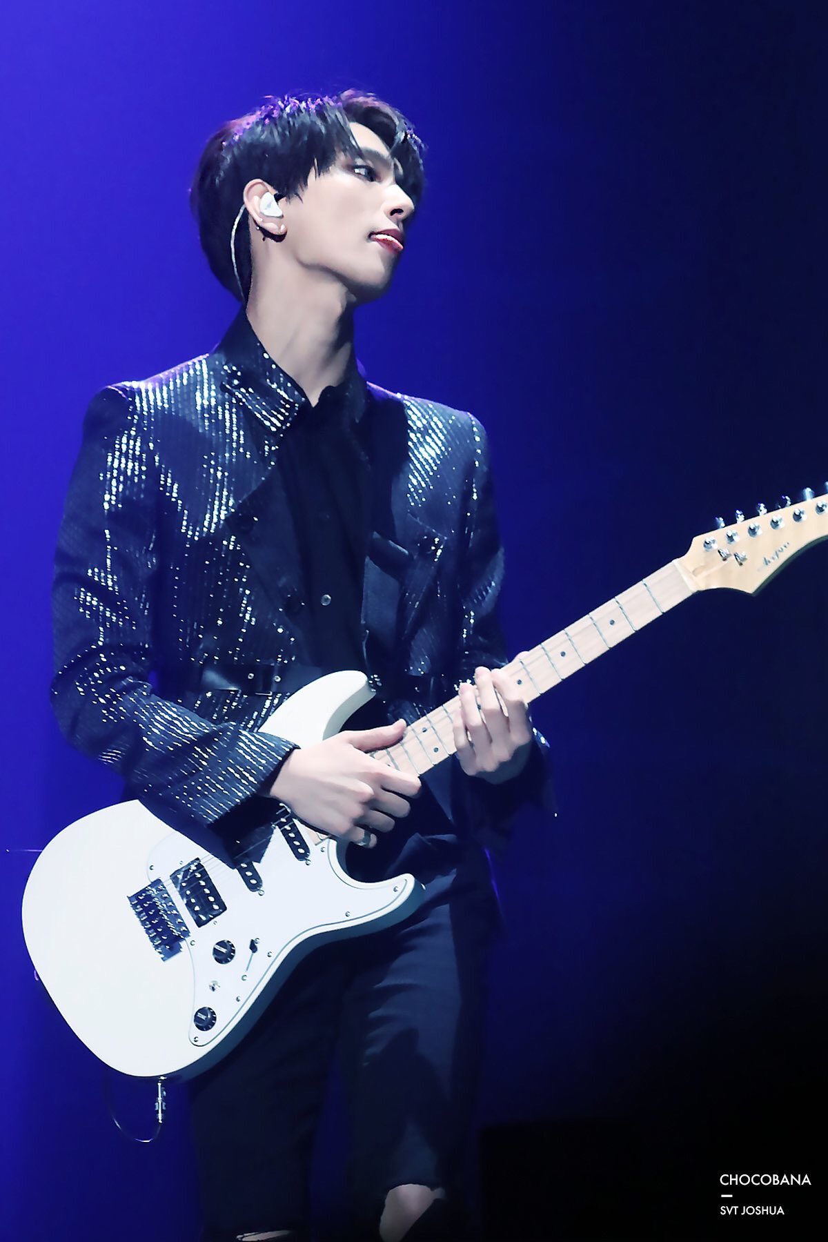 seventeen セブチ ジョシュア コンプ ライブ トレカ ラキドロ 24H