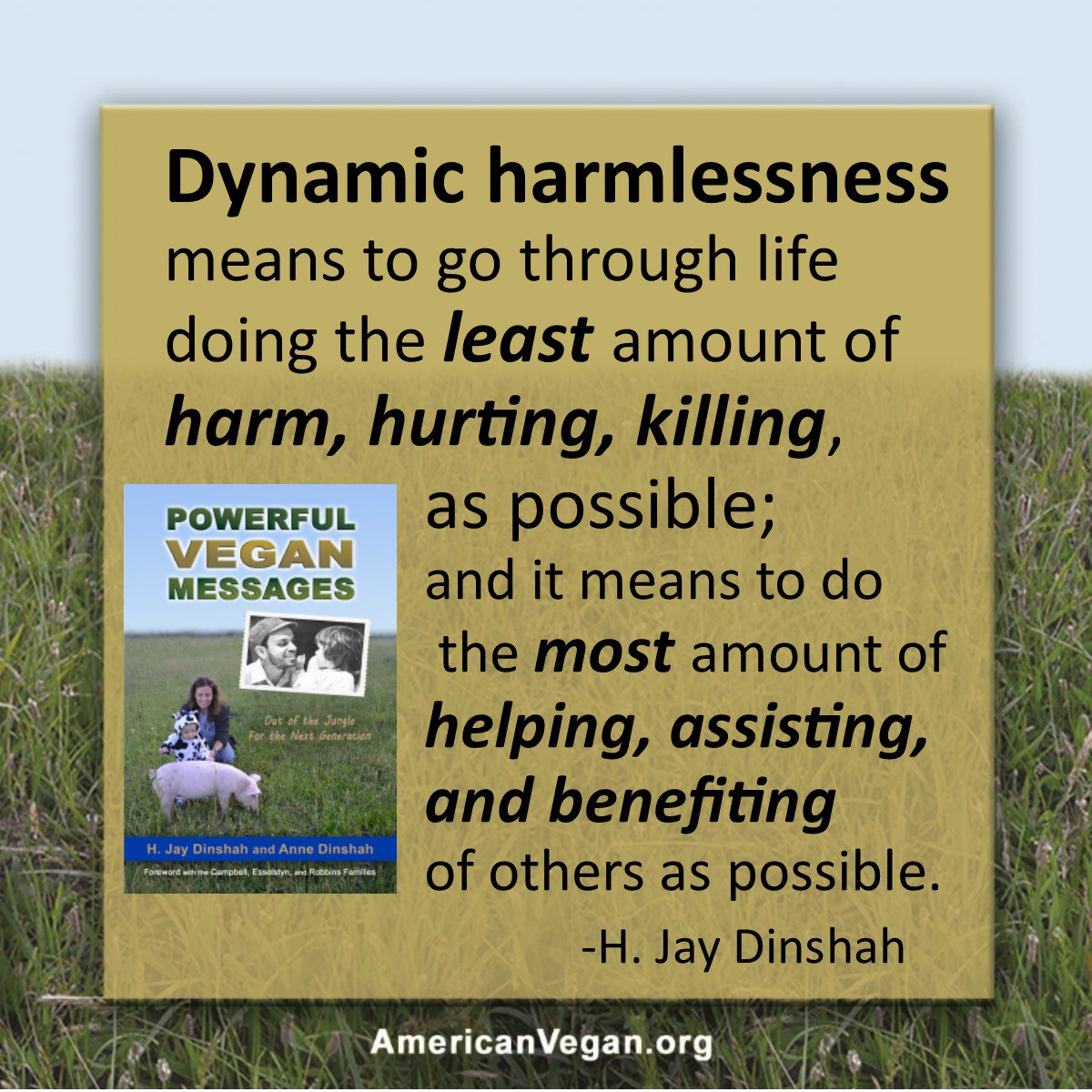 AmericanVeganS's tweet photo. Only 4 months until Dynamic Harmlessness Day (November 2), but you can celebrate every day! https://t.co/ydzf70n4rI
#hjaydinshah #dynamicharmlessnessday https://t.co/tckW7LzzJq