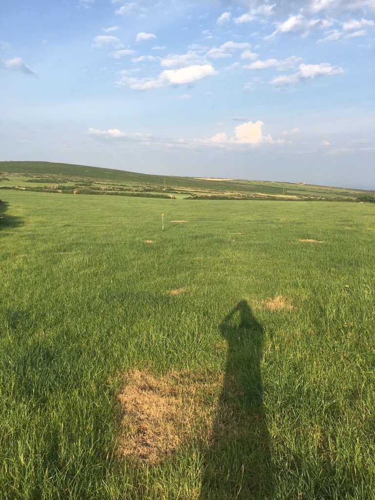 Are the patches where there is granite rocks just under the surface showing us what 3 weeks time looks like!?