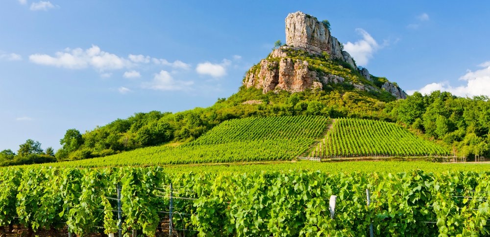 La saison estivale de la  #RochedeSolutré #Pouilly #Vergisson est ouverte ! Découvrez ts les agendas du #grandsitedefrance : #expositions, #visites, #découvertes, #dégustations, #oenotourisme, #marchés, #randonnées,  #apéroconcerts ... cliquez là ====> bit.ly/agendasolutré