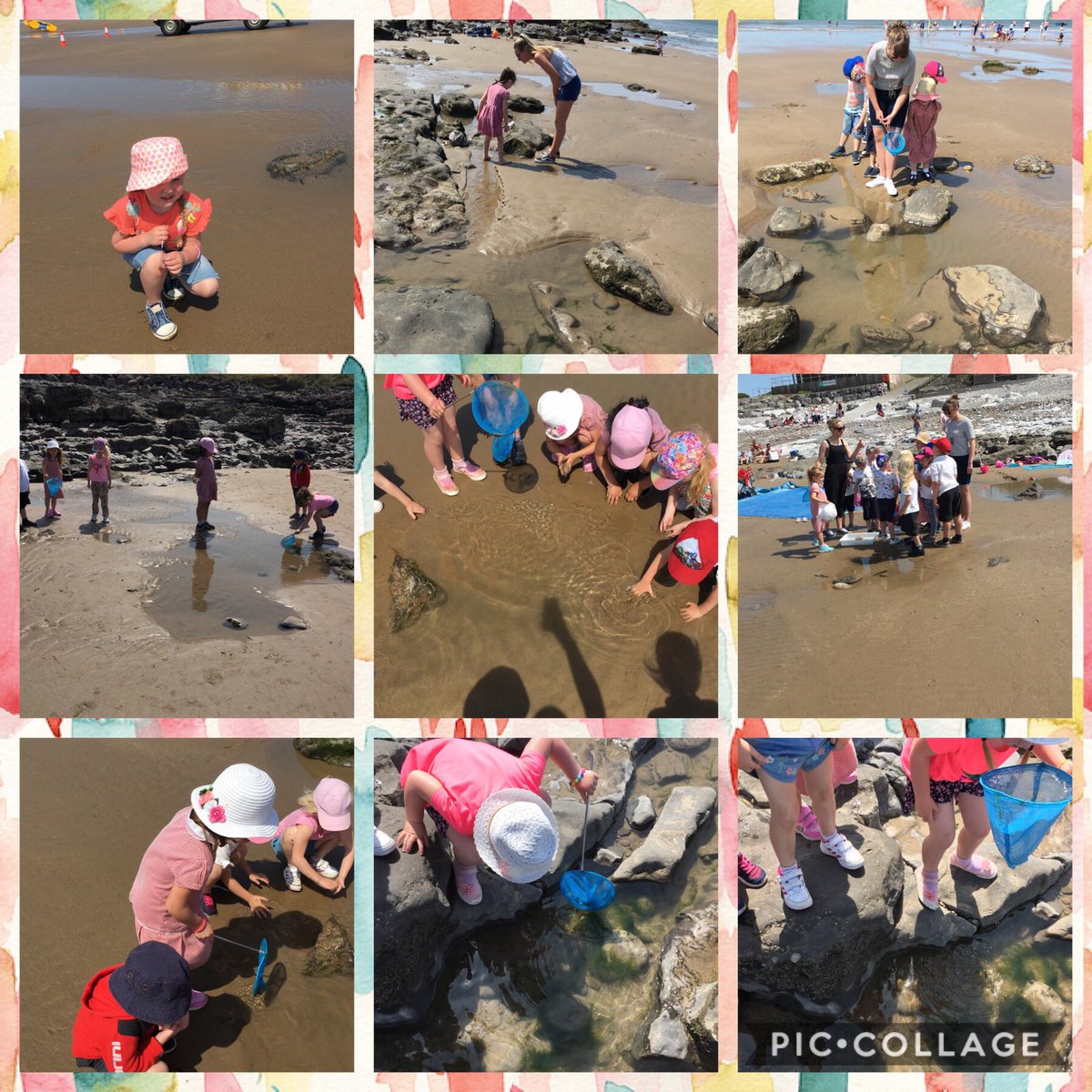 LauraSalkeldKVP's tweet photo. Before lunch we did a hunt for all sorts of pebbles and searched the rock pools! We found lots of crabs! ☀️🌊🐚🦀 https://t.co/k4QziDMLG8