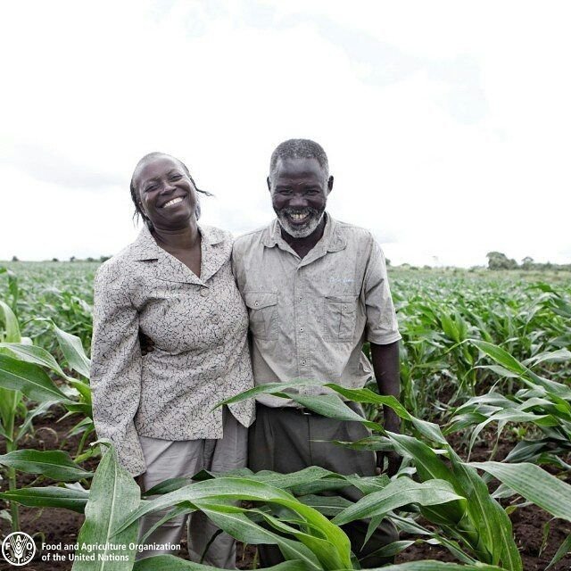 Without farmers we wouldn't have the food on our plates. 👩‍🌾👨🏼‍🌾👩🏽‍🌾👨🏿‍🌾👨🏻‍🌾👩🏾‍🌾

They are our #ZeroHunger heroes.