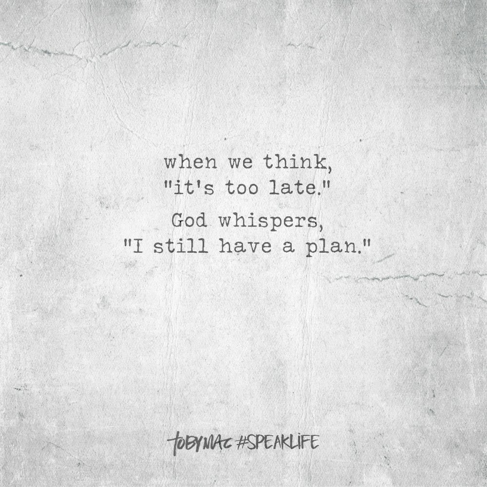 adele_voges's tweet image. 