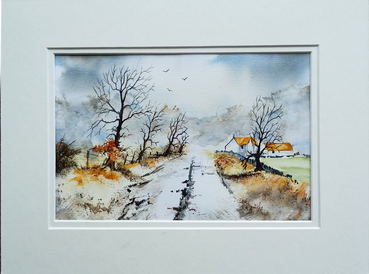 b collins tweet media