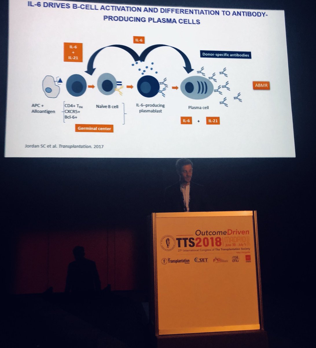 yassingva's tweet photo. @olivieraubert_ ‘s state-of-the art presentation @TTS2018 was brillant featuring data on IL-6(R) inhibitors by @TIPLosAngeles . Promising data as well as studies to look forward to. @StanleyCJordan2 @parcc_inserm @ParisTxGroup #TTS2018 https://t.co/N8lLB2N7gT