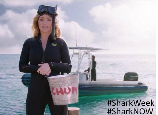 VeroQItaly's tweet photo. #ShaniaTwain #SharkNOW π¦π
I saw this // all I could think
about was
β¬οΈ β¬οΈ https://t.co/UzohrzR1lO