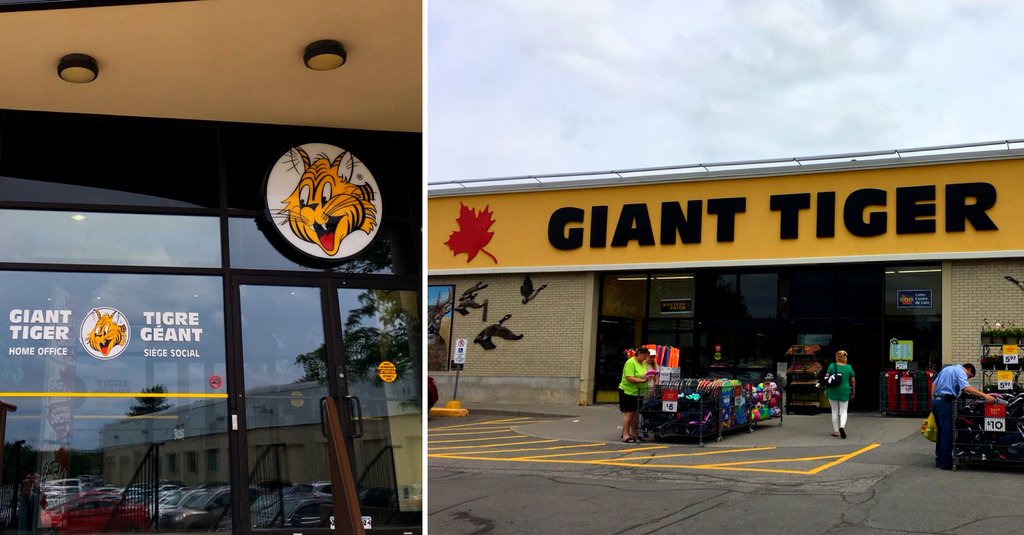 VisualRetaiIing's tweet photo. Our Visual Retailing’s Canada retail road trip started off with meetings at Giant Tiger 😎 Part 1. Thank you for having us @GTboutique 
#roadtrip #canada #visualretailing #businesstrip https://t.co/uDUsB4chQz