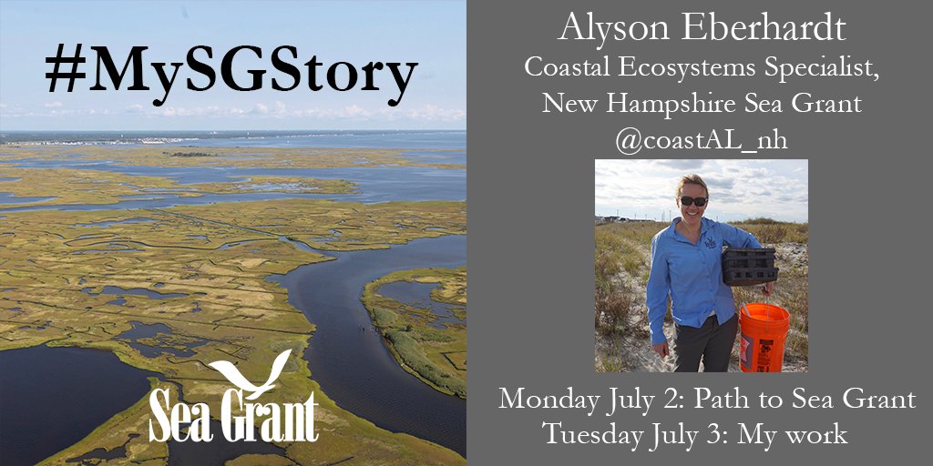 NOAA Sea Grant (@seagrant) on Twitter photo We're turning over the reins of this account to <a href="/coastAL_nh/">Alyson Eberhardt</a> of <a href="/NHSeaGrant/">NH Sea Grant</a> to share her #MySGStory. Stay tuned for #citizenscience, coastal ecosystem restoration, and more from Alyson! We're turning over the reins of this account to <a href="/coastAL_nh/">Alyson Eberhardt</a> of <a href="/NHSeaGrant/">NH Sea Grant</a> to share her #MySGStory. Stay tuned for #citizenscience, coastal ecosystem restoration, and more from Alyson!