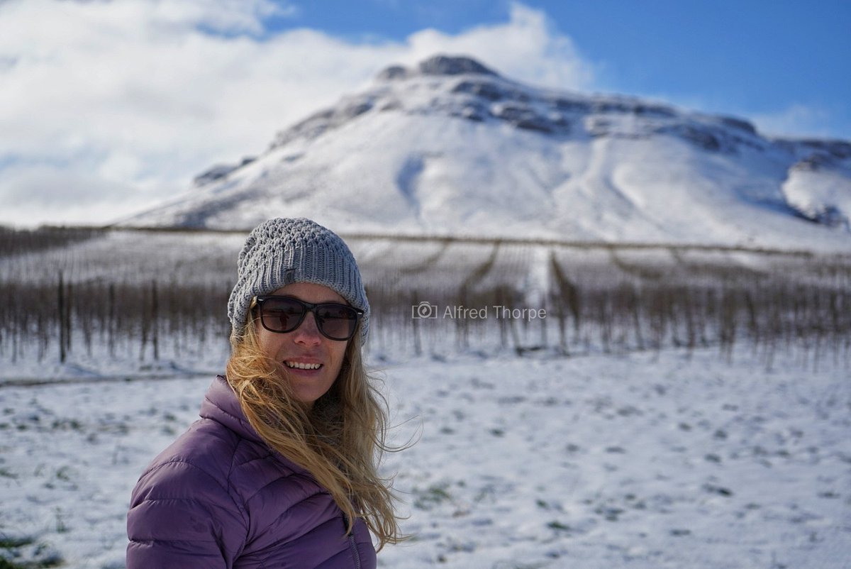 vuurtoring tweet media