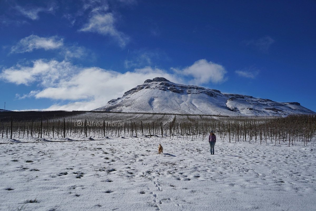 vuurtoring tweet media