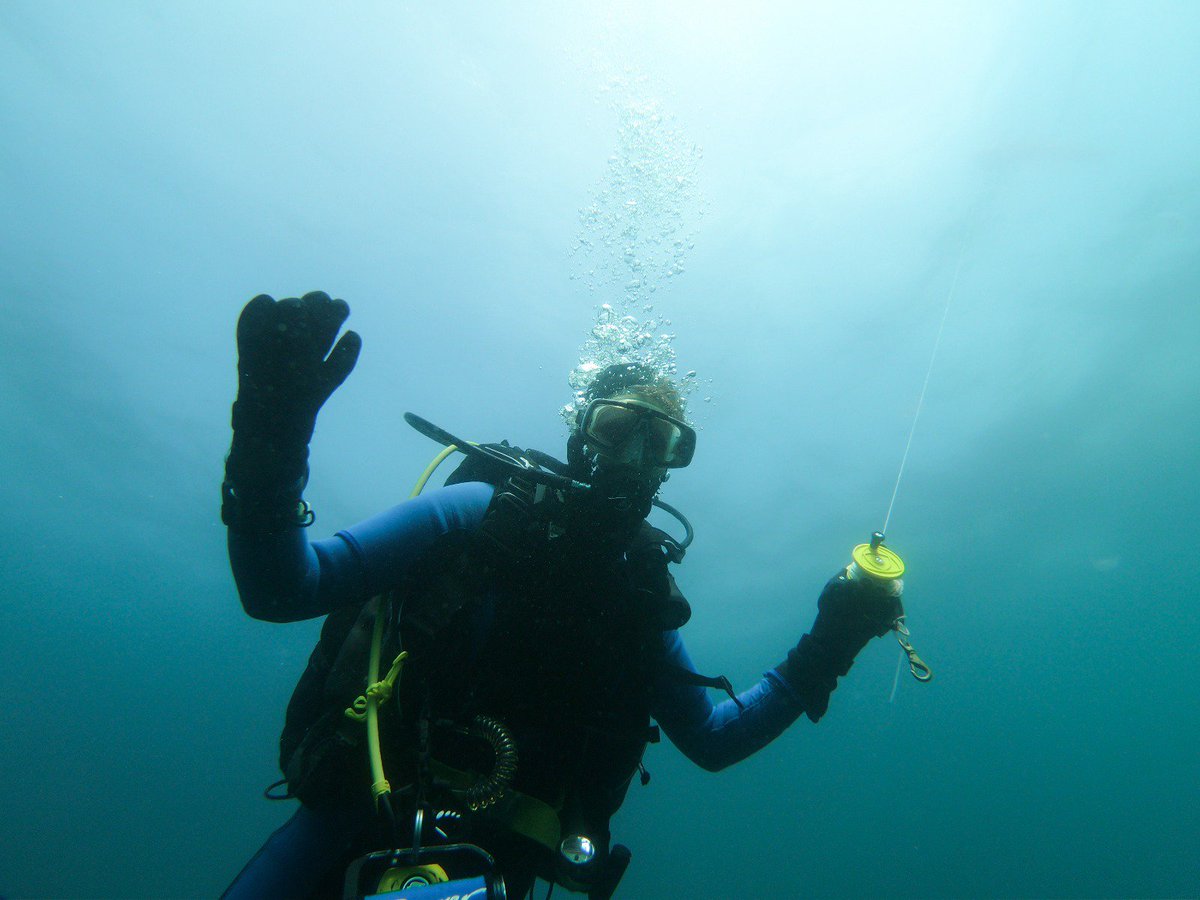 trinitydiving's tweet photo. We BEAT the HEAT 😎🌞by hanging out underwater this weekend in Kilkee! Stunning shores, beautiful water, and friendly crayfish made for an excellent weekend! Congrats to our new SDs @Conor_Dore + Diarmuid! 🐟🐠🐡#divewithfriends #scuba #kilkee #ireland @BSACdivers @tcdsports https://t.co/l2bEaNEZkL