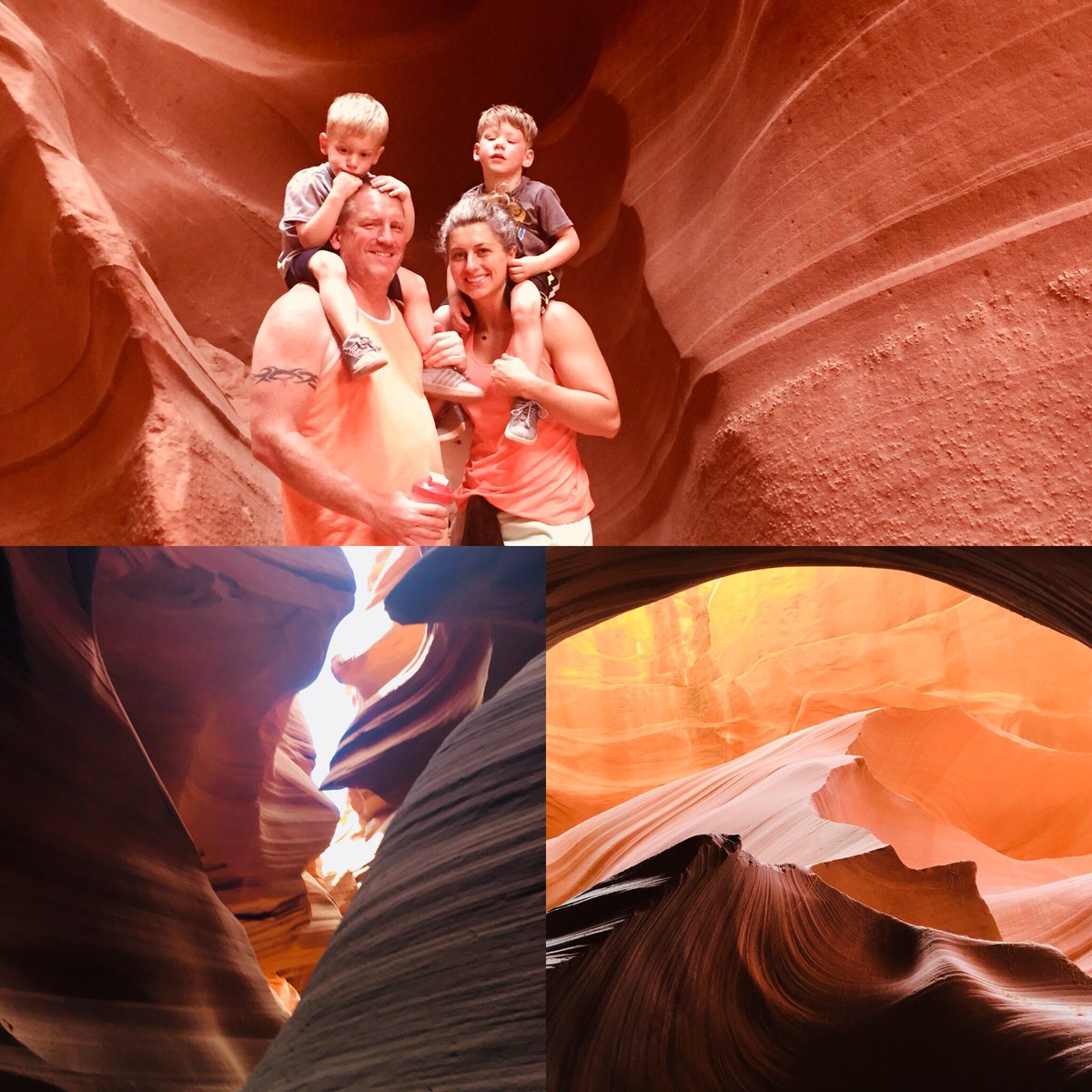 shane swartz tweet media