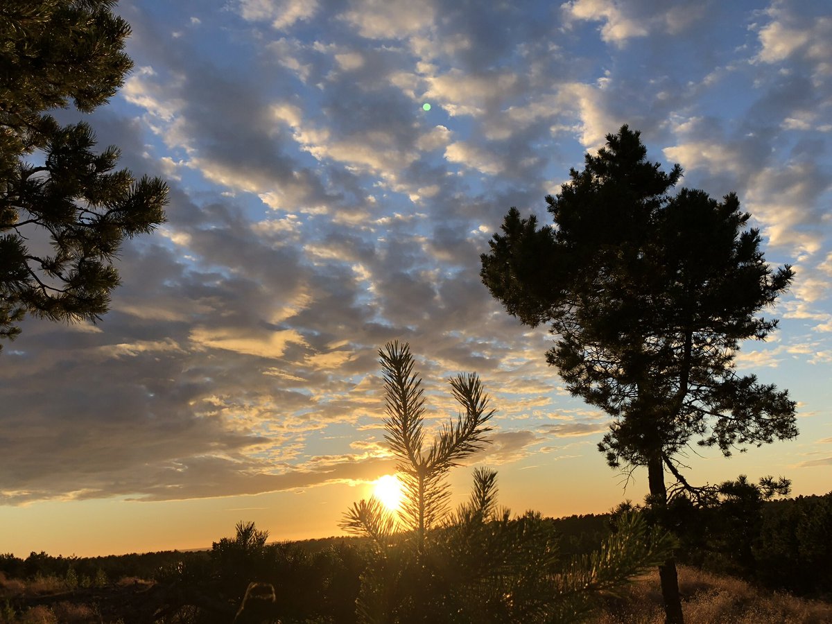 As soon as I discovered this land spit on googlemaps I’ve wanted to explore it by bike. Camping in the dunes at the Lithuanian - Russian (Kaliningrad) border - the perfect adventure for Wild Night Out #wildnightout2018 #microadventure