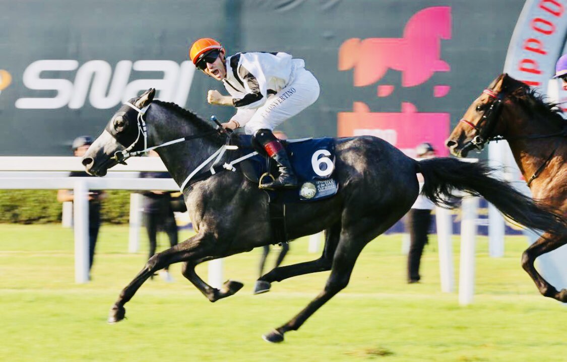 المهر " فزاع الخالدية" ينتزع كأس رئيس دولة الامارات للخيول العربية الأصيلة في ايطاليا  وبزمن قياسي  2:10 من مسافة 2000م 
🏆🇸🇦🇸🇦