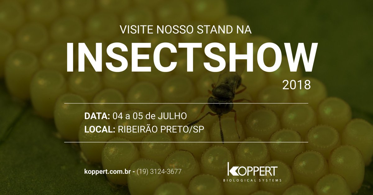 Koppertbr's tweet photo. Koppert presente, para demonstrar o que existe de mais avançado em controle biológico para cana-de-açúcar #koppert #koppertbrasil #controlebiologico #controlebiologicodepragas #parceirosdanatureza #agricultura #canadeacucar #insectshow #insectshow2018 🌿🐞🐝🐛🎋 https://t.co/L6xbdVFkYt