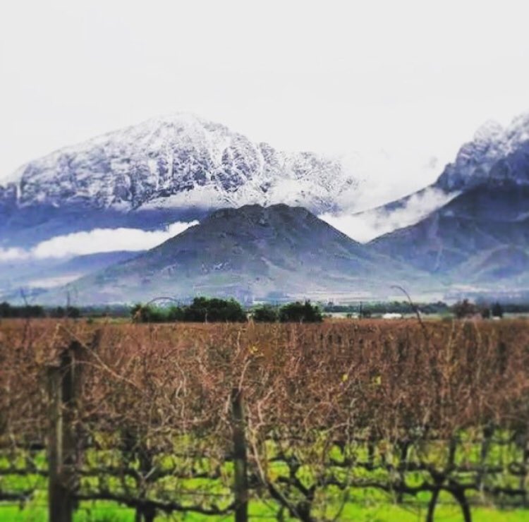 Blessed🙏🏼 
.
.
<a href="/SAWeatherServic/">SA Weather Service</a> <a href="/ReenvalSA/">ReenvalSA</a> @AgriSAOfficial <a href="/AgriWesKaap/">Agri Wes-Kaap | Agri Western Cape</a> <a href="/CapeTown/">ᑕᗩᑭE TOᗯᑎ</a> <a href="/capeWine/">ᴸᵒᶜᵃˡ ᵂⁱⁿᵉ🍷 Cape Provinces, South Africa</a> @DuToitskloof