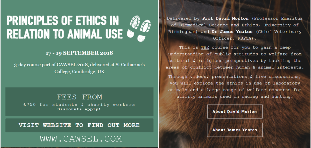 CAWSEL1's tweet photo. Interested in Principles of Ethics in Relation to Animal Use? Read our latest newsletter for more info & join us for #CAWSEL18, 17-19 Sept @Catz_Cambridge - with Prof David Morton & Dr James Yeates - https://t.co/rlSHbEz3hj #principlesofethics #animaluse #animalwelfare https://t.co/TlRwewNBJA