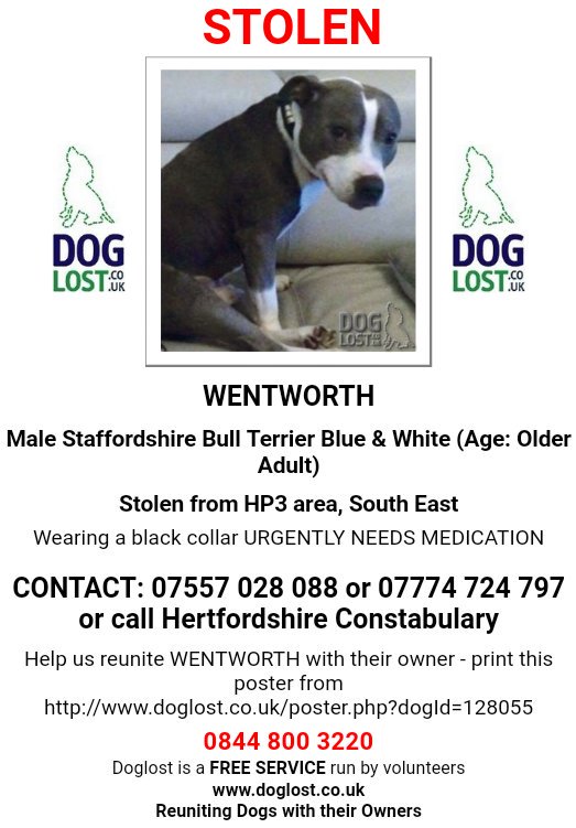 MissingPetsGB's tweet photo. 🐶 #FindStolenWentworth 

Missing so long now and he needs medications

Whoever has Wentworth, he's not yours, give him back!! Do the right thing. https://t.co/jfDC0rcYWL