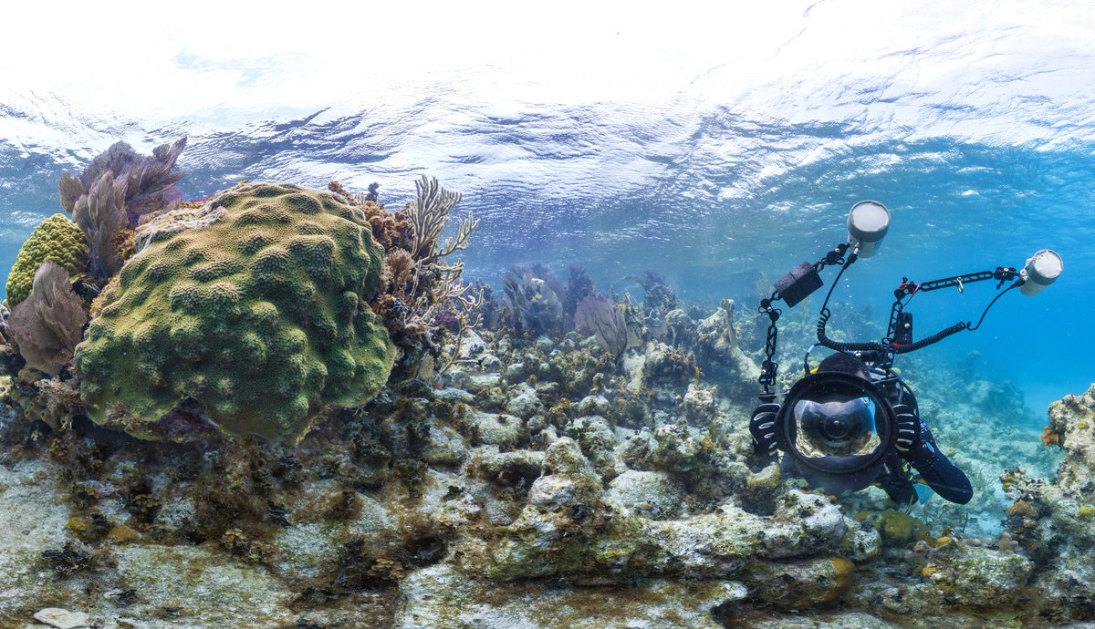 Ever wonder what it looks like on the other side of the #camera?  📍Lighthouse Reef, #Belize.
