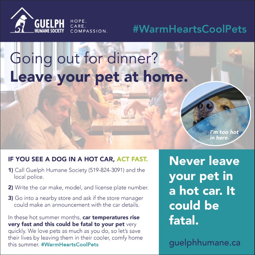 Guelph Humane Society tweet media