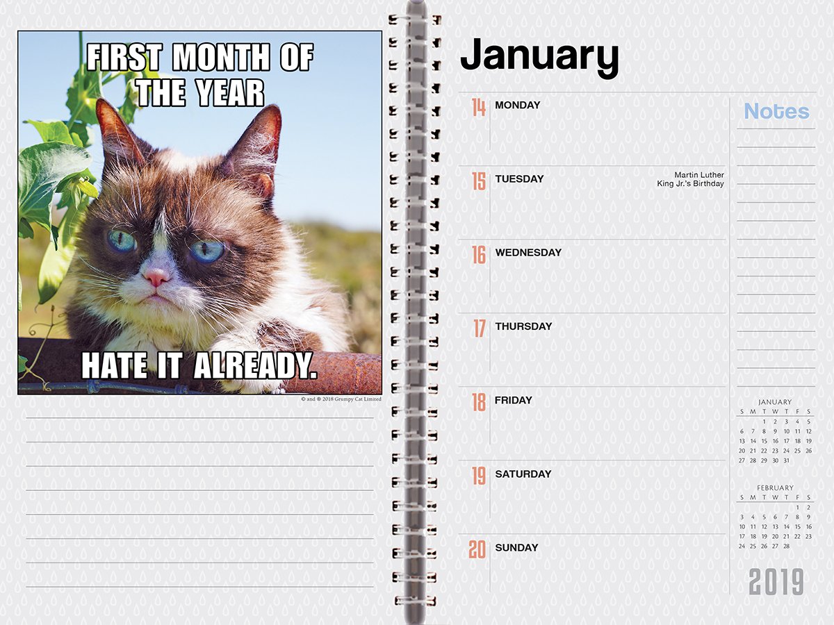 SellersMedia's tweet photo. Here are some pages from our 2019 Grumpy Cat 18-Month Weekly Planner available soon at https://t.co/pS4ugwK6DN, but available now at #Amazon, #calendarclub, #BarnesandNoble many other fine retailers. #grumpycat #sellerspublishing #2019planners #grumpycatplanner #lovegrumpycat https://t.co/GCUYVNGNTC