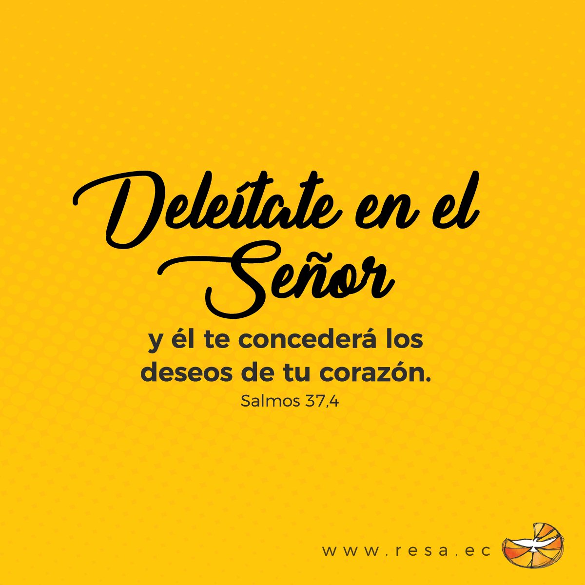 Neuidea_ec's tweet photo. Marketing religioso #neuidea #LogoDesign #logo https://t.co/x5zYlBEpg1