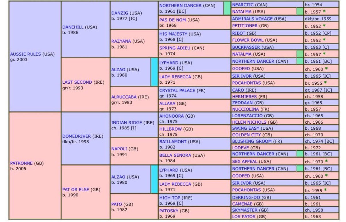 Readswoodstud's tweet photo. Grey 2yr filly by #AussieRules @Lanwades her Dam #Patronne (Bay)from the super family of #Pato #MyEmma #SatonoCrown #LighteningQuick a real LANWADES family of winners. #Patronne by Domedriver is currently infoal to @DANON_BALLADE_ by Deep Impact due #February2019 @T_Bloodstock https://t.co/ph1cqpLtp2